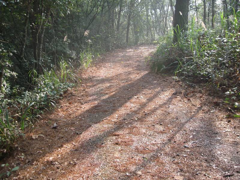 谷關七雄之東卯山