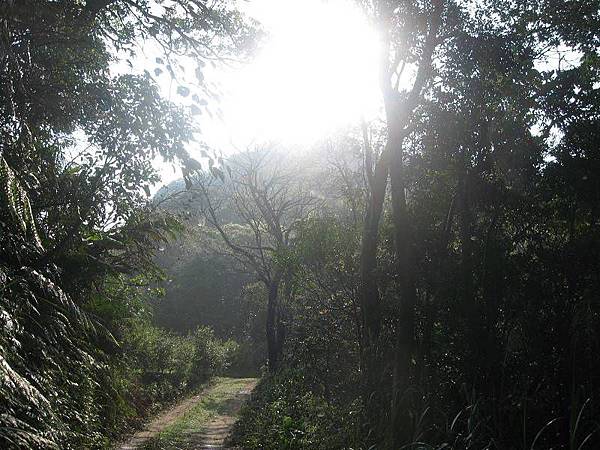 大舌湖山O型