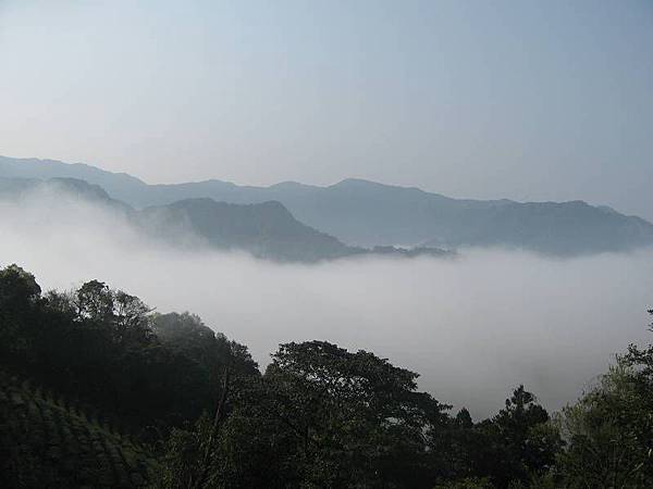 大舌湖山O型 大舌湖山O型