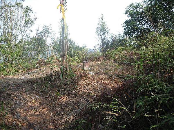 大舌湖山O型 大舌湖山O型