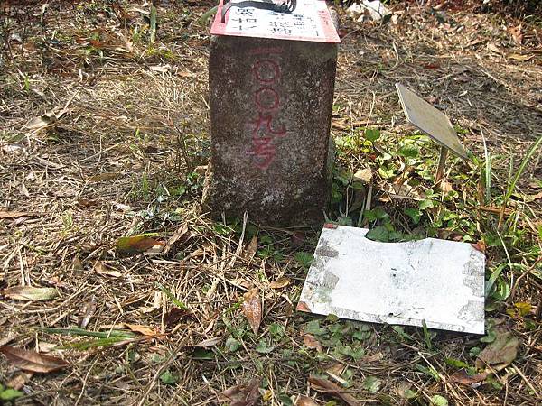 大舌湖山O型 大舌湖山O型