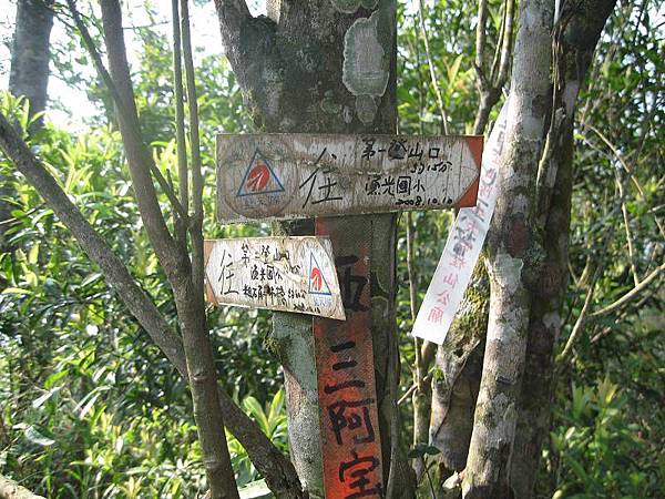 大舌湖山O型 大舌湖山O型