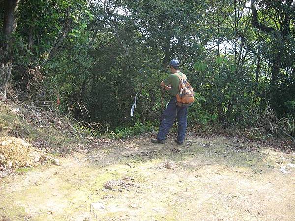 大舌湖山O型 大舌湖山O型