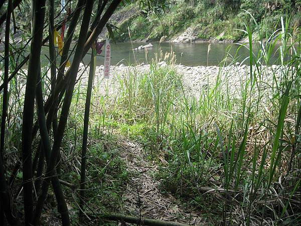 大舌湖山O型 大舌湖山O型