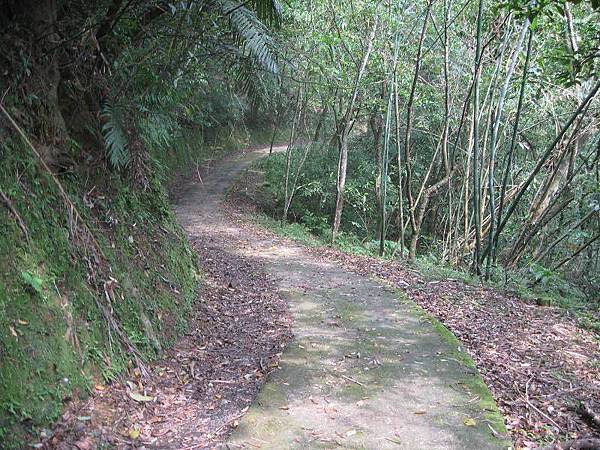 大舌湖山O型