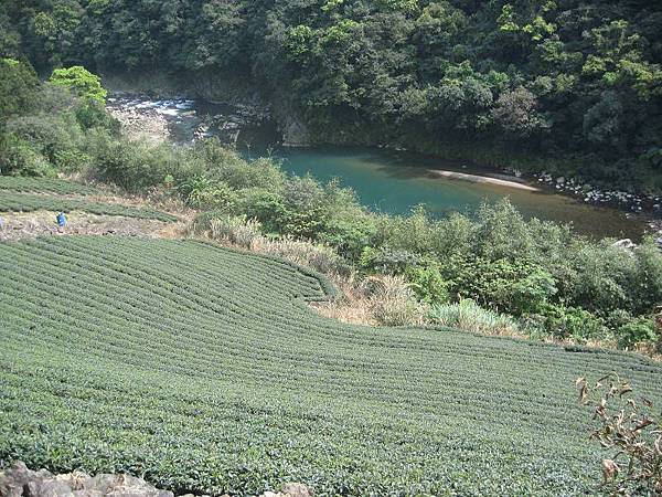 大舌湖山O型 大舌湖山O型