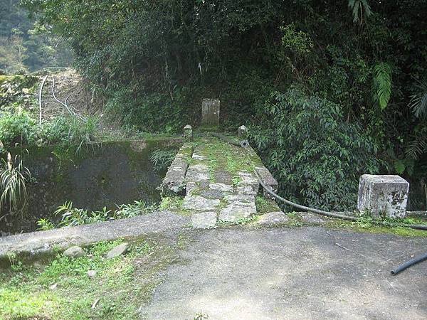 大舌湖山O型 大舌湖山O型