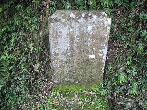 大舌湖山O型 大舌湖山O型