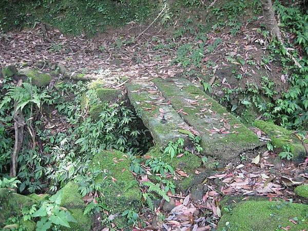 大舌湖山O型 大舌湖山O型