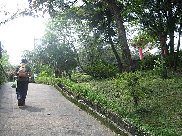 大舌湖山O型 大舌湖山O型