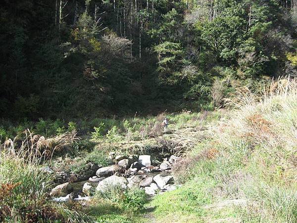 141127032.jpg 141127032.jpg