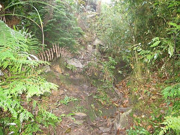 141127035.jpg 141127035.jpg