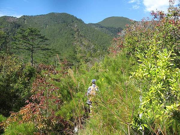 141127042.jpg 141127042.jpg