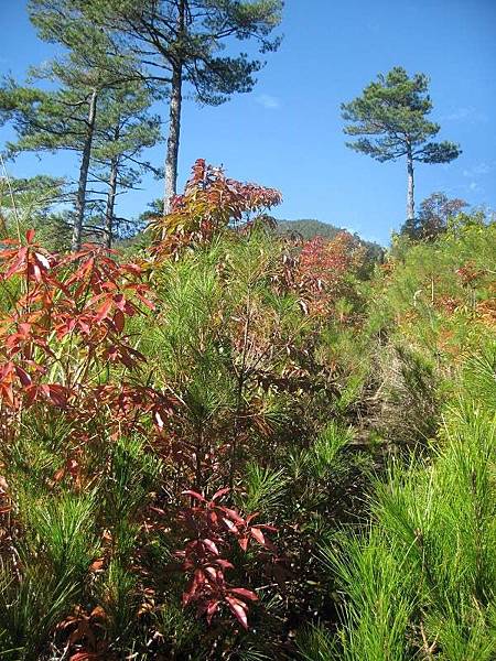 141127050.jpg 141127050.jpg