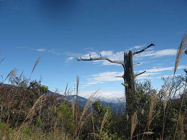 141127056.jpg 141127056.jpg