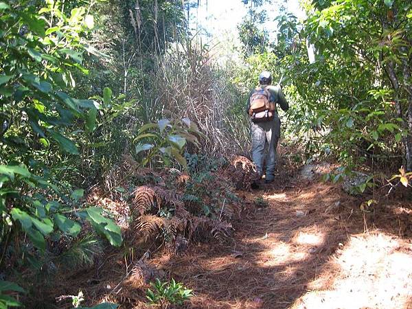 141127059.jpg 141127059.jpg