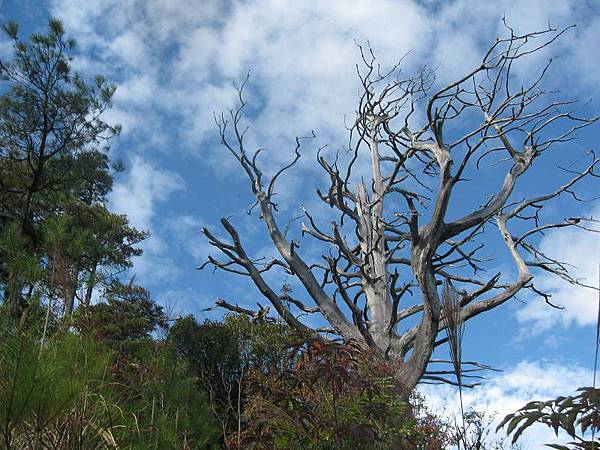 141127063.jpg 141127063.jpg