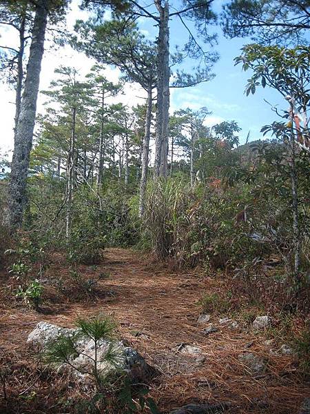 141127066.jpg 141127066.jpg