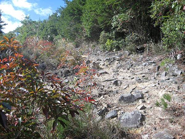 141127077.jpg 141127077.jpg