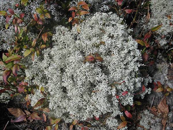 141127078.jpg 141127078.jpg