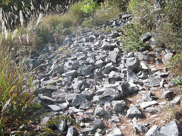 141127081.jpg 141127081.jpg