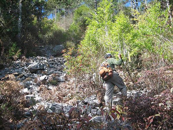 141127082.jpg 141127082.jpg