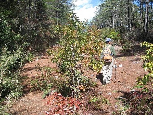 141127098.jpg 141127098.jpg