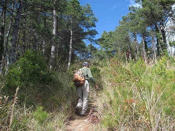 141127107.jpg 141127107.jpg