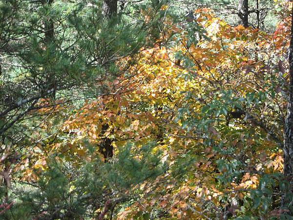 141127110.jpg 141127110.jpg