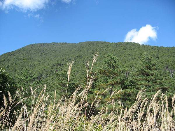 141127113.jpg 141127113.jpg