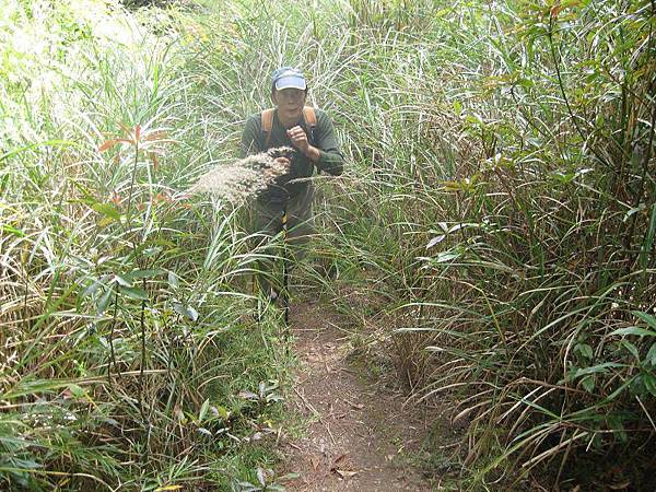 141127115.jpg 141127115.jpg