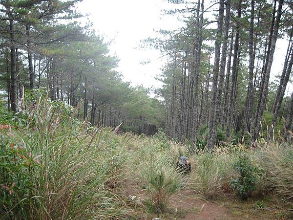 141127116.jpg 141127116.jpg