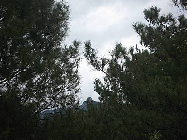 141127128.jpg 141127128.jpg