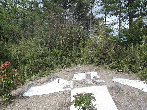 141127155.jpg 141127155.jpg