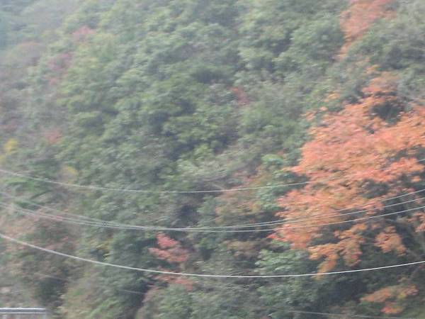 141127166.jpg 141127166.jpg