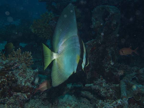 PA060025.JPG PA060025.JPG