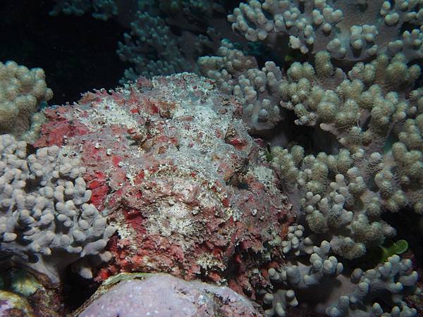 PA060039.JPG PA060039.JPG