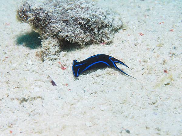 PA060054.JPG PA060054.JPG