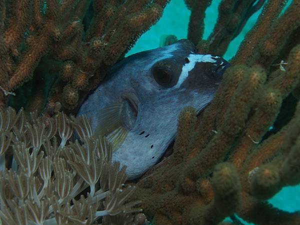 PA060057.JPG PA060057.JPG