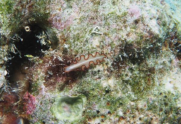 PA060059.JPG PA060059.JPG