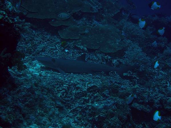 PA060067_.jpg PA060067_.jpg