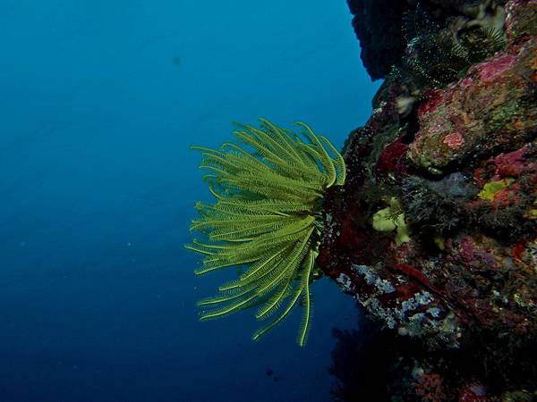 PA060087_.jpg PA060087_.jpg