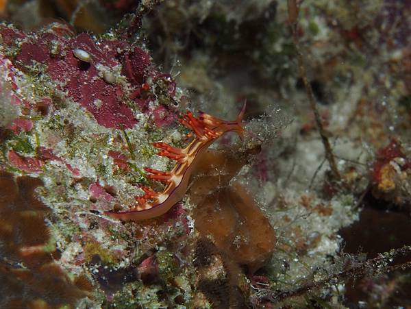 PA060104_.jpg PA060104_.jpg