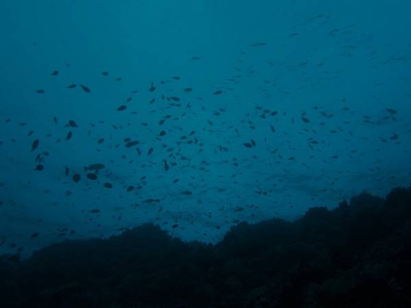 PA060105.JPG PA060105.JPG