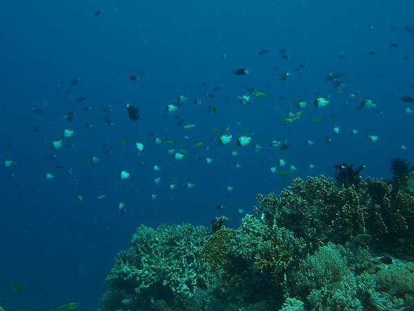 PA060131.JPG PA060131.JPG