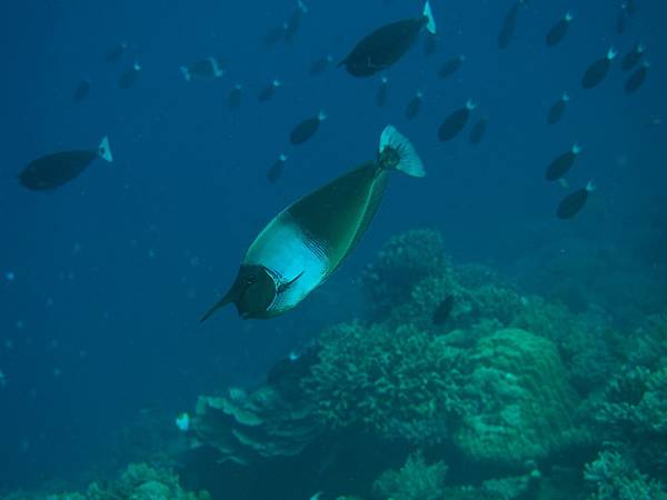 PA060136.JPG PA060136.JPG