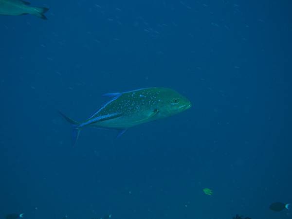 PA060135.JPG PA060135.JPG