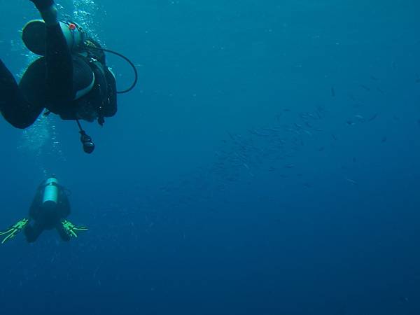 PA060138.JPG PA060138.JPG