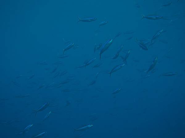 PA060139.JPG PA060139.JPG