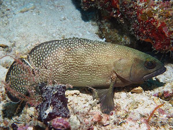 PA060153.JPG PA060153.JPG